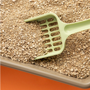Arena aglomerante para gatos